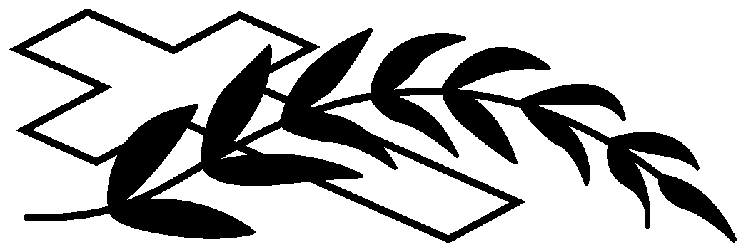 krzy gazka
